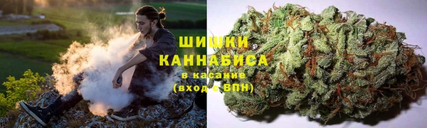 молекула духа Гусев