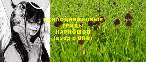 мет Горно-Алтайск