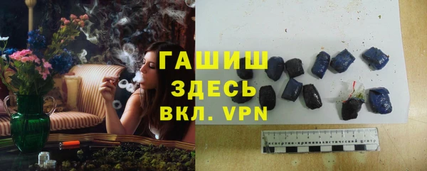 молекула духа Гусев