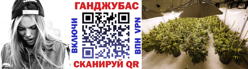 Марихуана сатива  omg ссылки  Дрезна  купить наркоту 